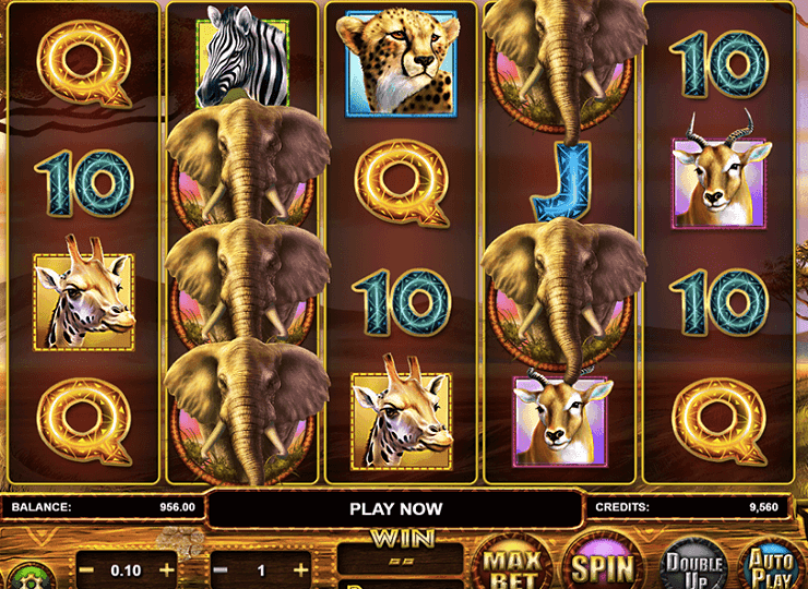 Stampede Slot Machine Game To Play Free