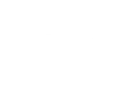 RioAce Casino