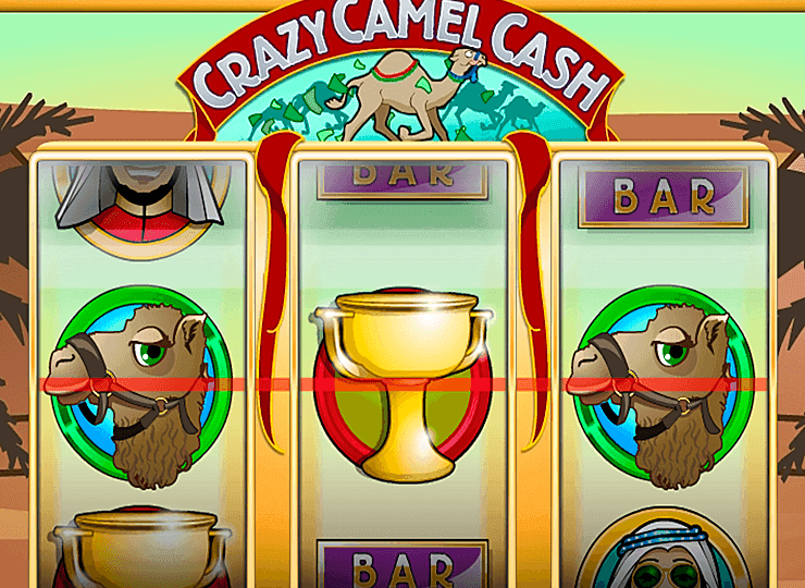 Crazy Camel Cash