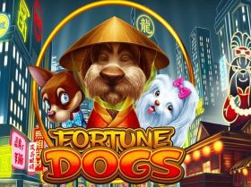 Fortune Dogs