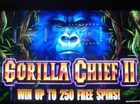 Gorilla Chief 2