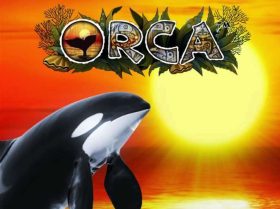 Orca