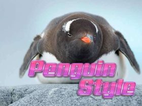 Penguin Style