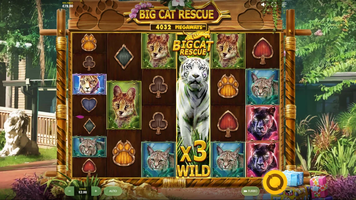 Big Cat Rescue Megaways