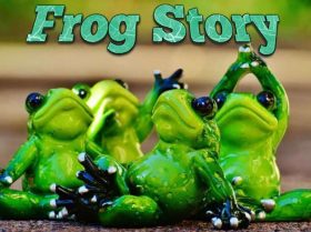 Frog Story