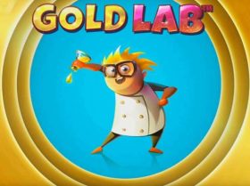 Gold Lab