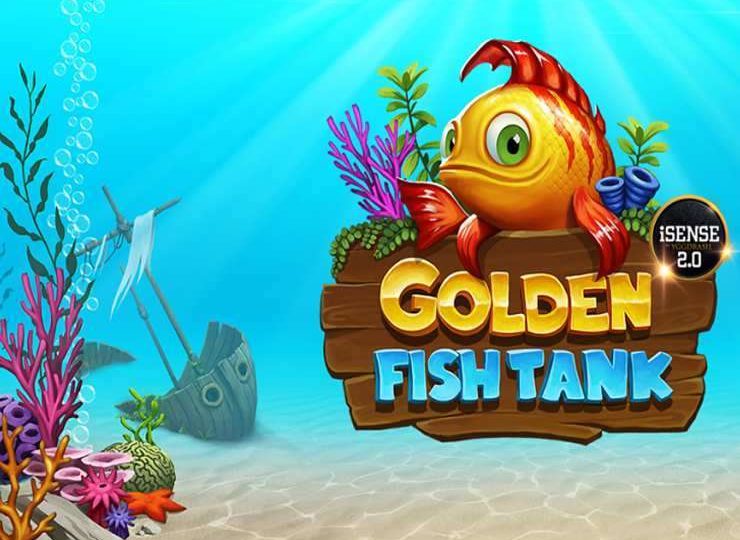 Golden Fish Tank