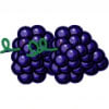 Grapes Bonus Symbol