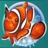 dolphin reef slot