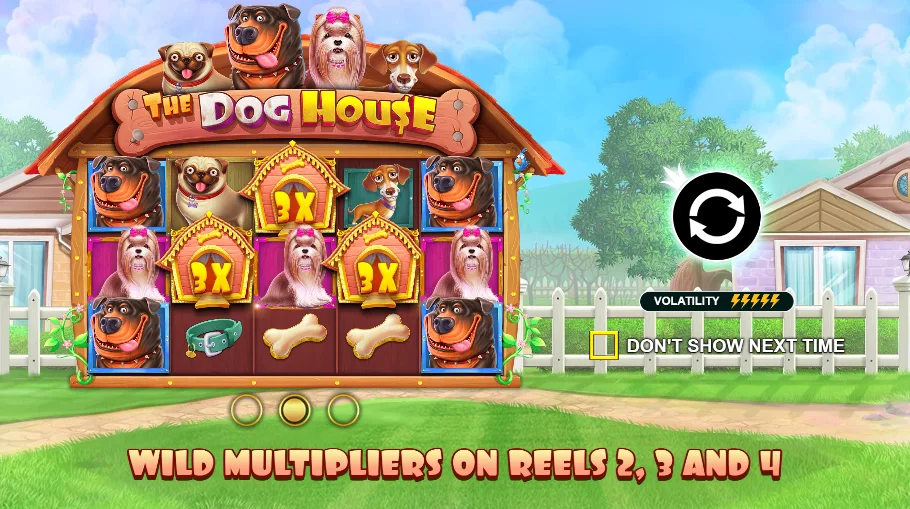 Dog House free play