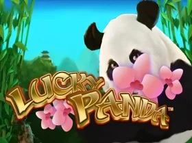 Lucky Panda