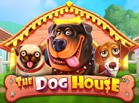 The Dog House 