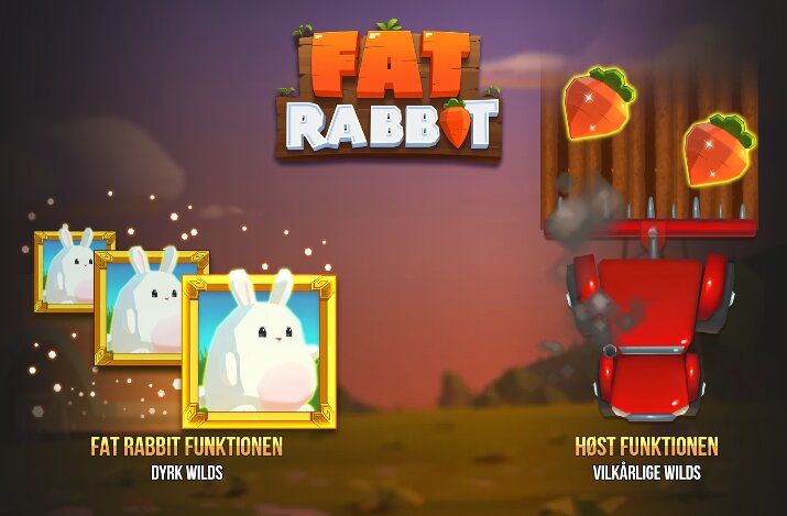 Fat Rabbit Spillefunktioner