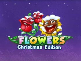 Flowers Christmas