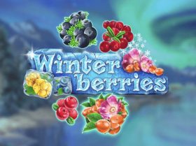 Winter Berries