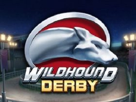 Wildhound Derby