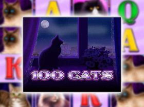 100 Cats