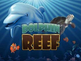 Dolphin Reef