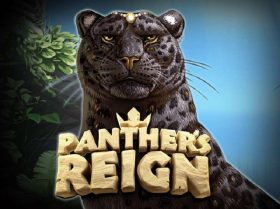 Panter's Reign