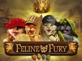 Feline Fury