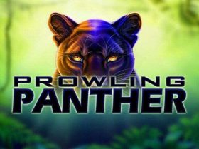 Prowling Panther