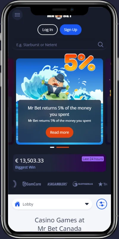 Mr Bet on Mobile