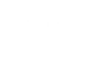 RioAce Casino