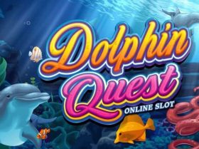 Dolphin Quest