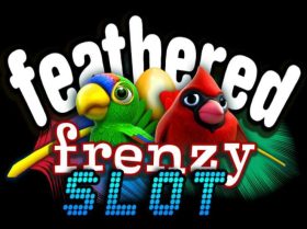 Feathered Frenzy