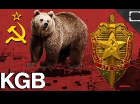 KGB Bears