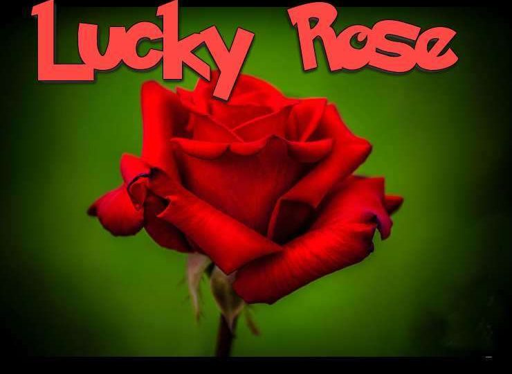 Lucky Rose Free