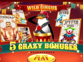 Wild Circus