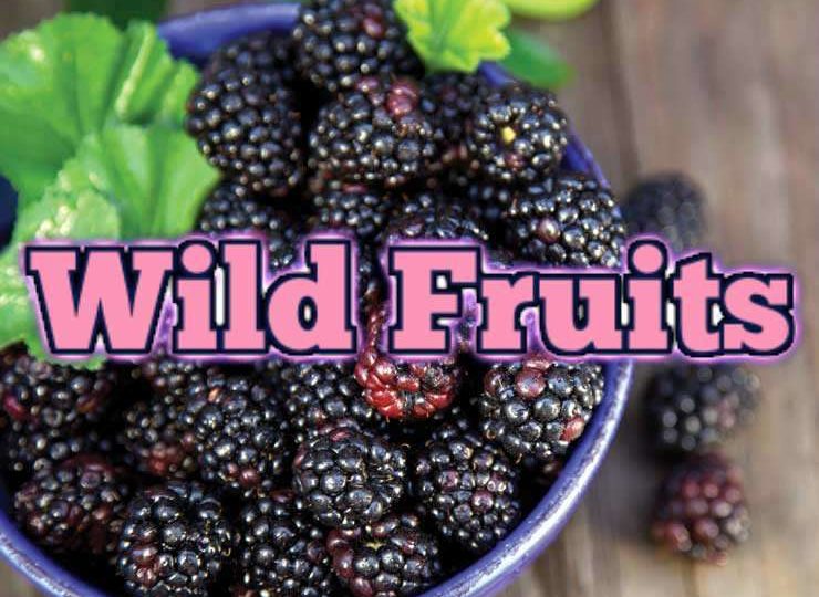 Wild Fruits