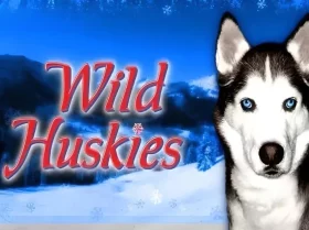 Wild Huskies