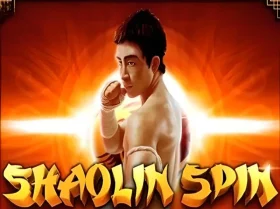 Shaolin Spin