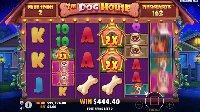 The Dog House Megaways Slot Win