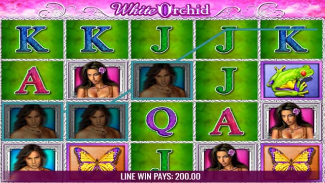 White Orchid Slot Bonus Symbols