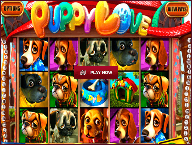 puppy-love-online-slot-betsoft