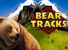 Bear Tracks