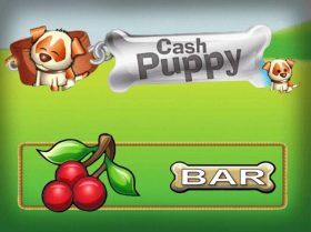 Cash Puppy