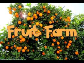 Fruit Farm