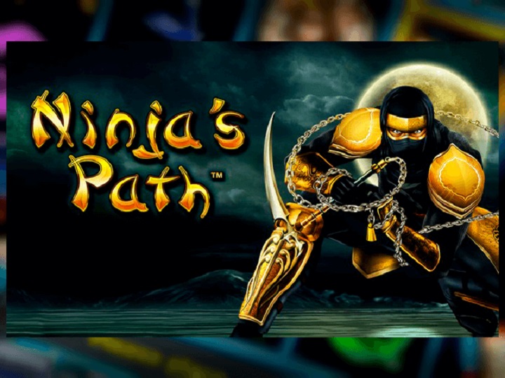 Ninja Slot Review, Demo & Free Play