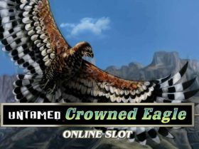 Untamed Crowned Eagle