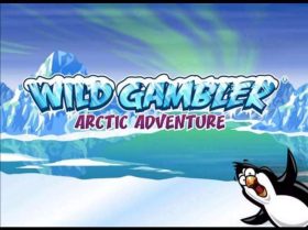 Wild Gambler Arctic Adventure