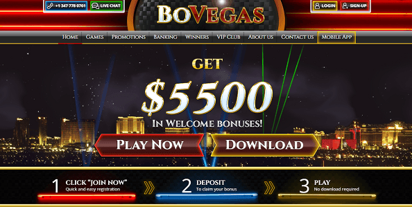 bovegas_casino_main