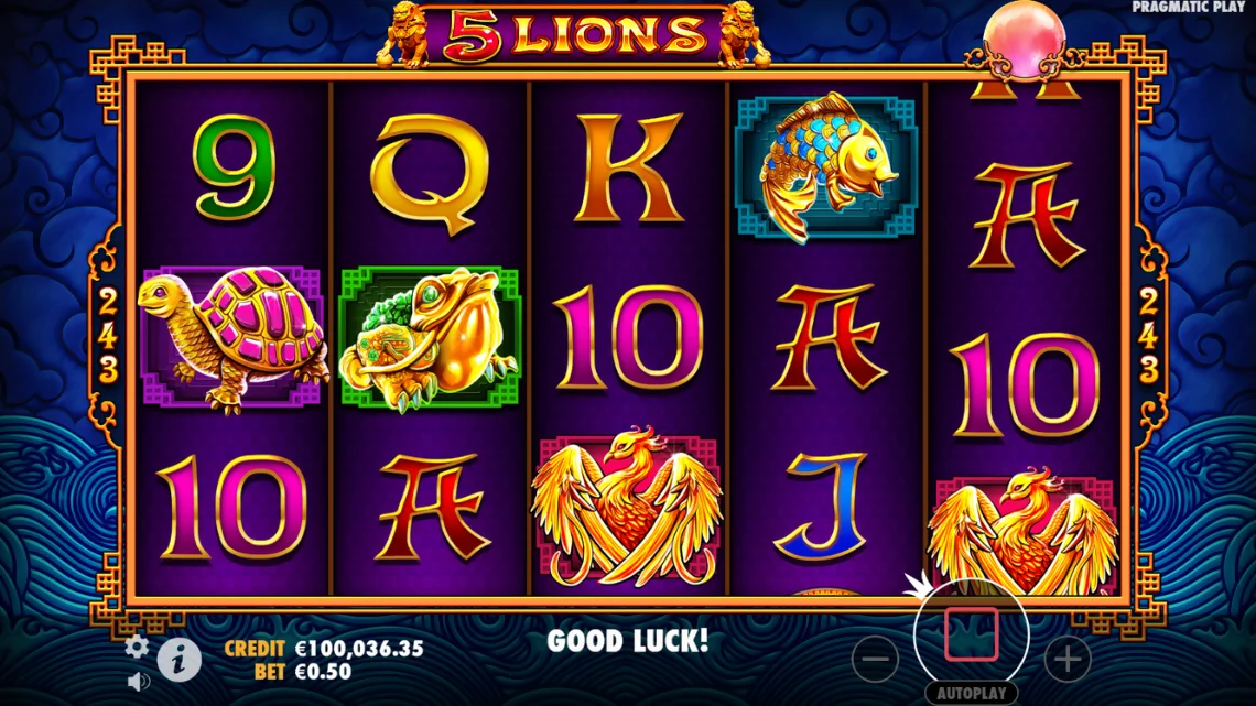 5 Lions slot