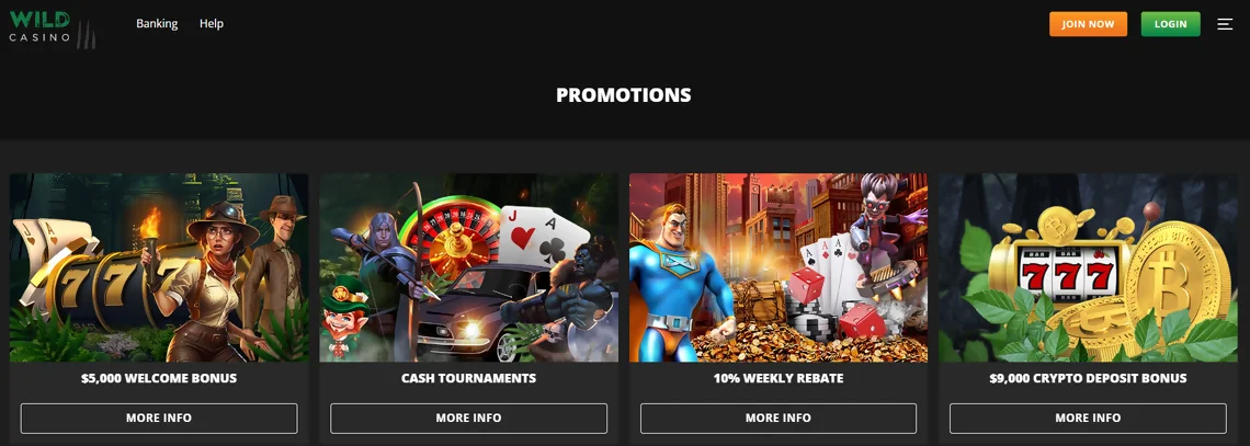 Wild Casino Promotions