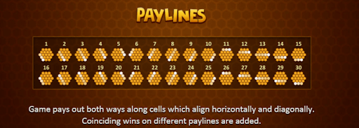 The Hive game paylines